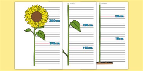 Flower Height Chart - Height chart, height display, measuring