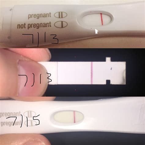 What Color Are Evaporation Lines On Pregnancy Tests - Quotes Viral