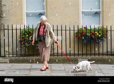 Elderly lady walking her dog on lead in Bath Somerset England UK Stock ...