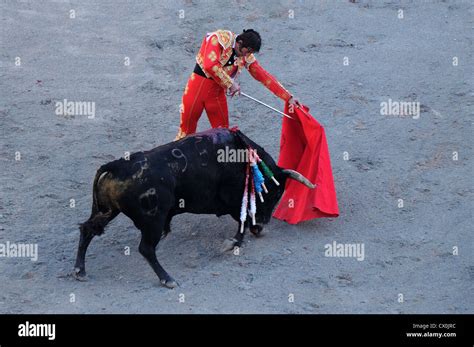 Matador with sword uses cape to move black bull past him in Roman Arena ...