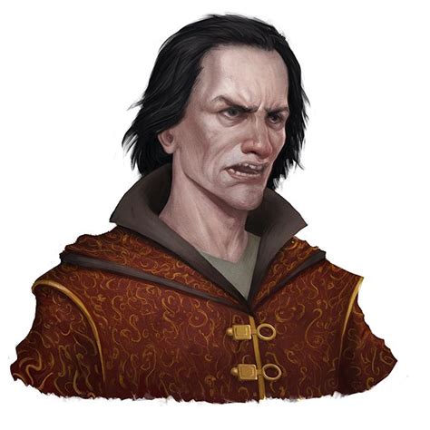 Pin by Brian Wing on Curse of Strahd RPG | Character portraits, Portrait, Warhammer fantasy roleplay