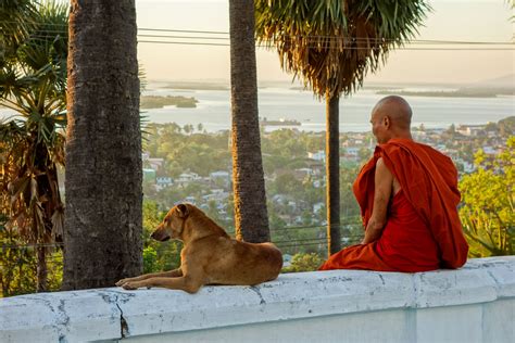 Monk and dog at the U Zina pagoda in Mawlamyine for sunset viewing ...