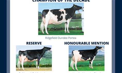 National Dairy Show Champion of the Decade - National Dairy Show