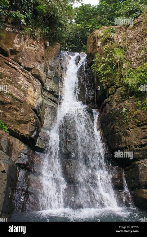 El Yunque Puerto Rico Waterfalls