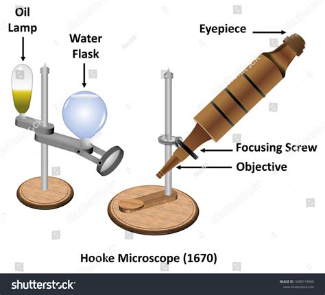 6 Robert Hooke Microscope Images, Stock Photos & Vectors | Shutterstock