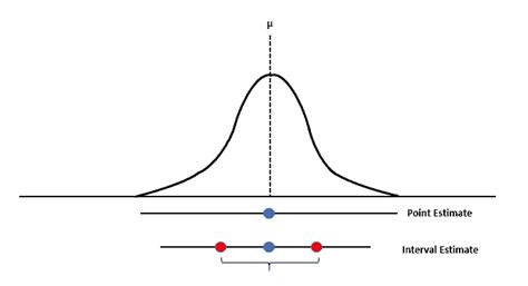 Point and Interval Estimation