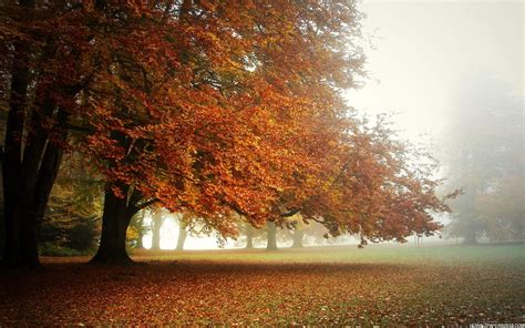 Fall Wallpapers HD | High Definition Wallpapers, High Definition Backgrounds