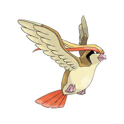 Pidgeot | Pokédex | The official Pokémon Website in Philippines