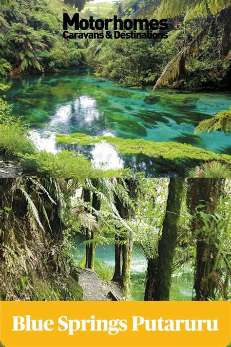 PUTARURU’S BLUE SPRINGS | Nz travel, Blue springs, Springs