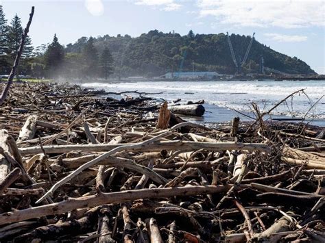 Public warned away from Gisborne beaches | Tourism Ticker