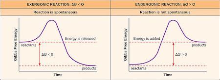 Spontaneous Reaction | Definition & Examples - Lesson | Study.com