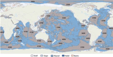 Basins – Blue Habitats