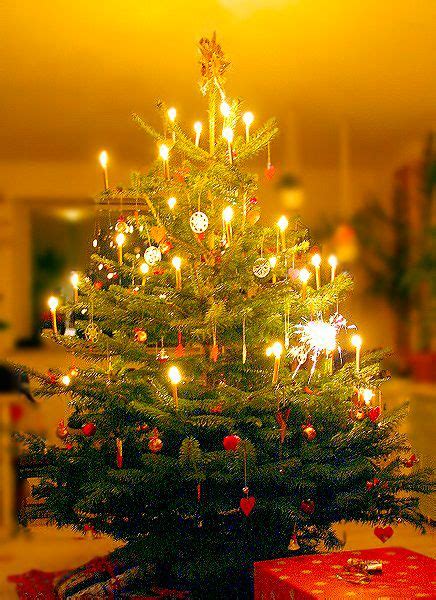 JUST REVEALED: Christmas Tree Candles Make Comeback -- Is This Cozy or ...