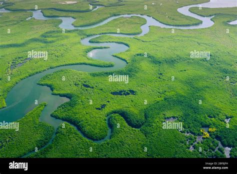 Amazon River Basin Aerial High Resolution Stock Photography and Images ...