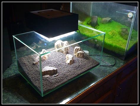 Fluval Edge Cree Led Build | Aquatic Plant Forum