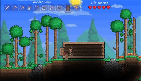 Can't Place A Door in Terraria? Here's Why - Game Voyagers