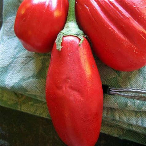 EGGPLANT Long Red - View All – Australian Seed