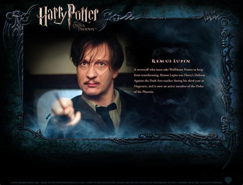 HP Bio - Harry Potter movies Photo (1759591) - Fanpop