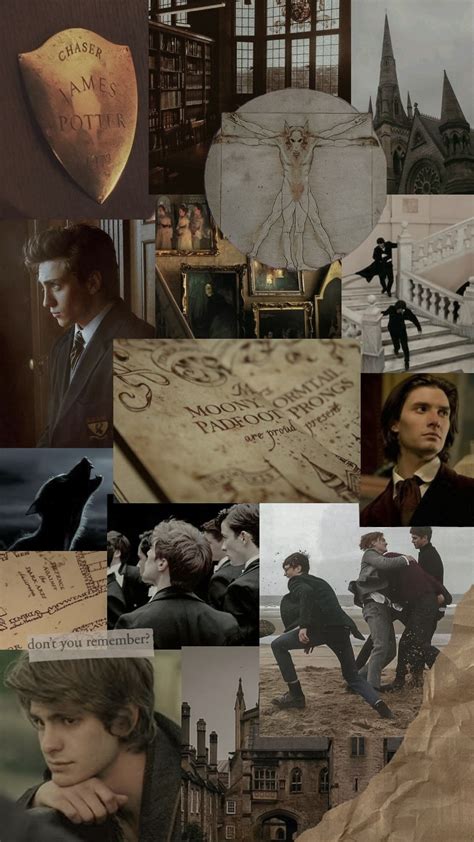 marauders aesthetic | Immagini di harry potter, Harry potter ...