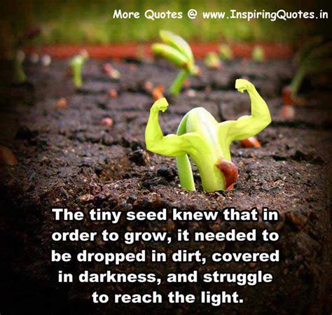 Quotes About Growth And Seeds. QuotesGram