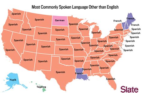 Fascinating Maps of the Most Commonly Spoken Languages in the United ...