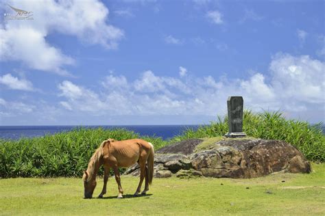 Yonaguni island – Okinawa – Japan Resort Club