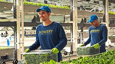 5 Top Vertical Farming Companies | Built In