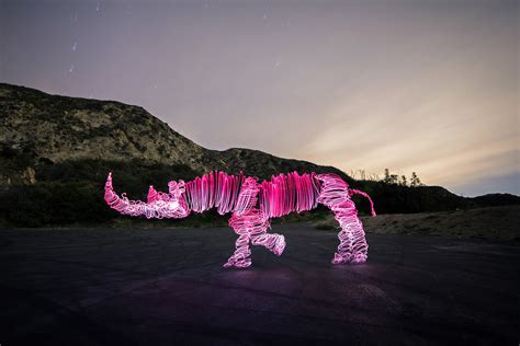 Animal Light Paintings by Darren Pearson | Daily design inspiration for creatives | Inspiration Grid