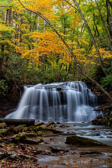 Holly River State Park - American Byways - Explore Your America ...