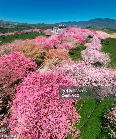 Longyan City Photos and Premium High Res Pictures - Getty Images