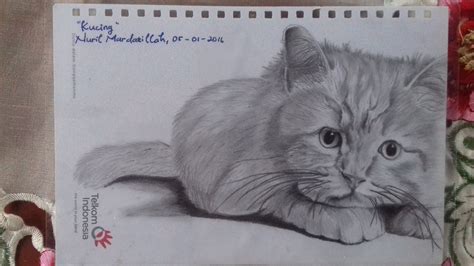 Gambar Kucing Dengan Pensil - Koleksi Gambar HD