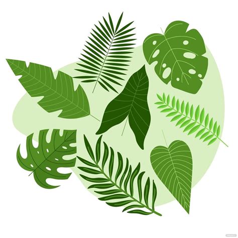 Jungle Leaf Vector in Illustrator, SVG, JPG, EPS, PNG - Download ...