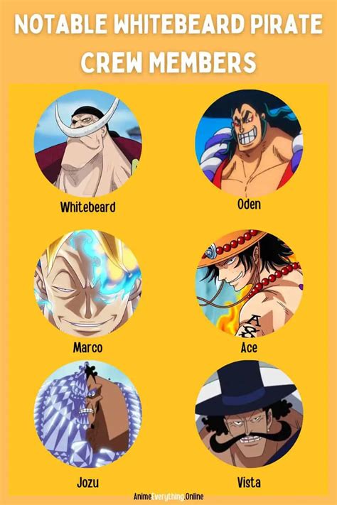 The 15 Most Powerful One Piece Pirate Crews Ranked - Gamers anime