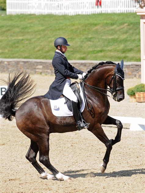 Pin by G Ostrofe on Equines -- Dressage -- The Beauty of Movement ...