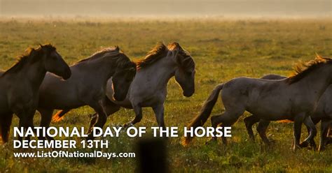 1213-NATIONAL-DAY-OF-THE-HORSE - List Of National Days