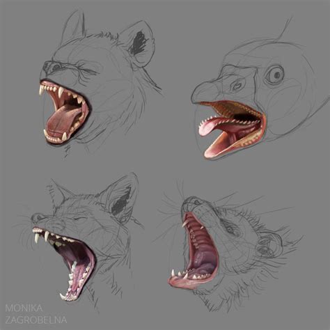 Animal Mouth Study – Monika Zagrobelna