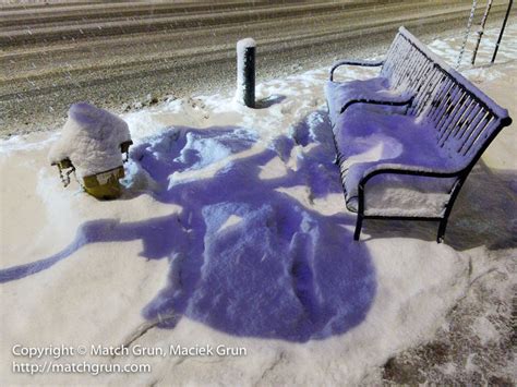 First Friday Snow Storm | Photographer in Colorado