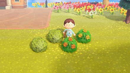 Bushes and Shrubs Guide - List of Types and Seasons | ACNH - Animal Crossing: New Horizons ...