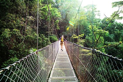 Monteverde Cloud Forest - 4 Days | kimkim