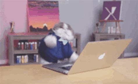 Furious Fast Typing Cat On Laptop GIF | GIFDB.com