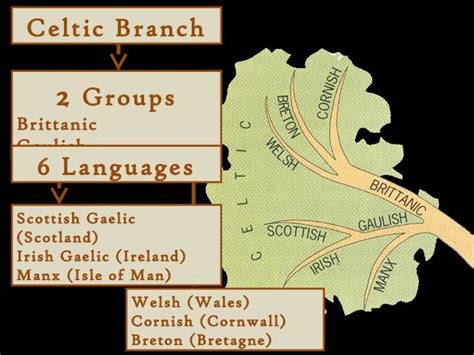 Celtic Languages by Chris Hall