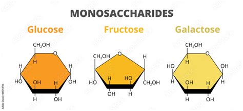 2D vector set, the molecular structure of the dietary monosaccharides ...