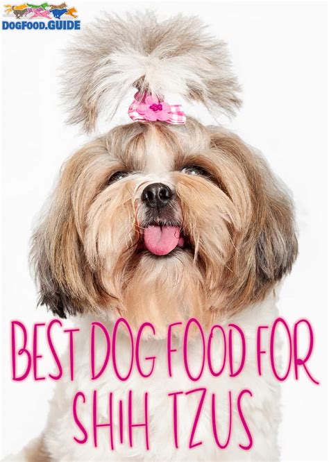 10 Best Dog Food for Shih Tzu: Keep Your Small Dog Healthy