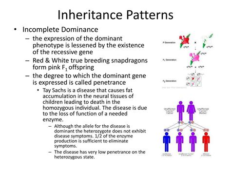 Types Of Inheritance Patterns