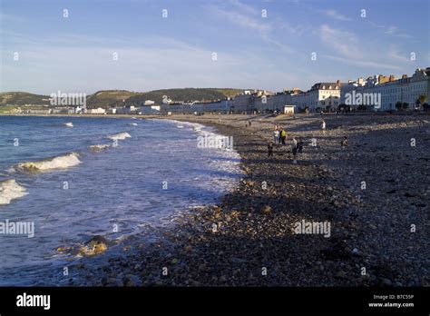 The beach of Llandudno bay at Llandudno Stock Photo - Alamy