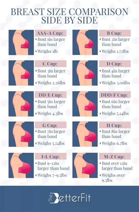 Breast Size Comparison Side by Side | Breast sizes chart, Bra size ...