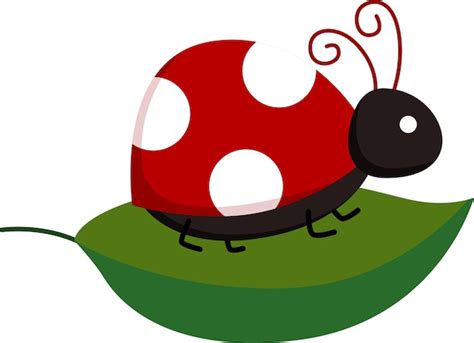 Premium Vector | A vector of ladybug on top of a leaf