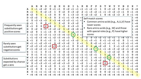 BLAST Scoring and Statistics