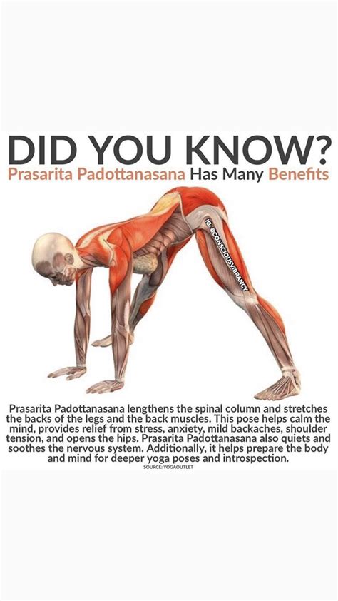 Pin by Brenda Morgan on Holistic Health | Yoga anatomy, Yoga postures, Yoga benefits