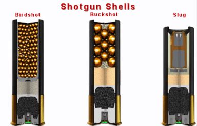 Shotgun Shell Sizes: Comparison Chart and Commonly Used Terms - Gun ...